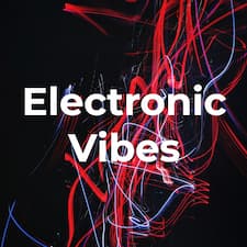 A picture of the playlist called Electronic Vibes